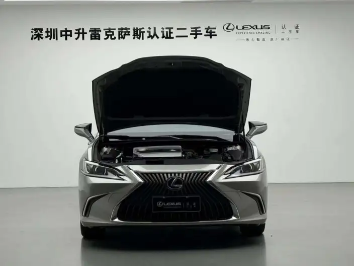Lexus ES 2020 Model 200 Superior Edition China VI – фото 9