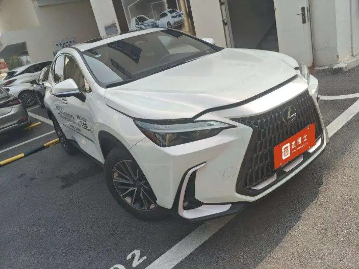 Lexus NX 2025 Model 200 Qian Drive FUN – фото 2