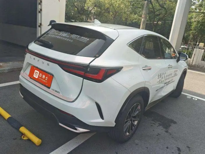 Lexus NX 2025 Model 200 Qian Drive FUN – фото 4