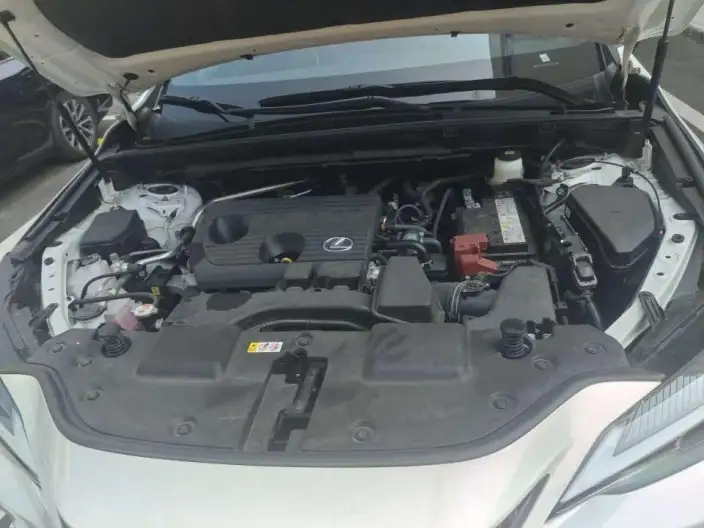 Lexus NX 2025 Model 200 Qian Drive FUN – фото 5