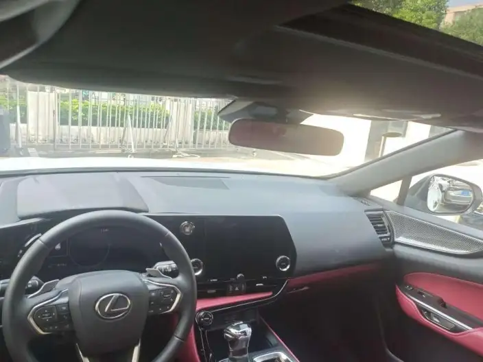 Lexus NX 2025 Model 200 Qian Drive FUN – фото 9