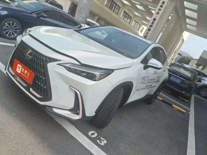 Lexus NX 2025 Model 200 Qian Drive FUN – фото 10