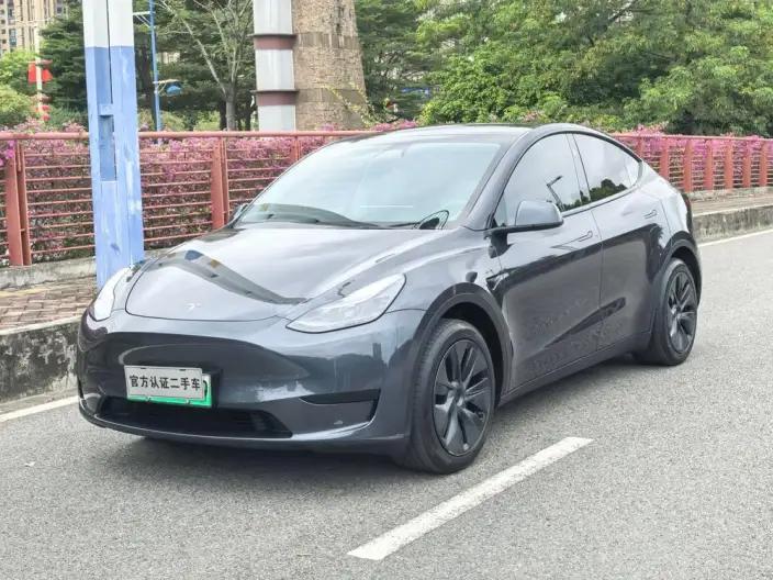 Model Y 2024 Model Rear-wheel drive version – фото 1