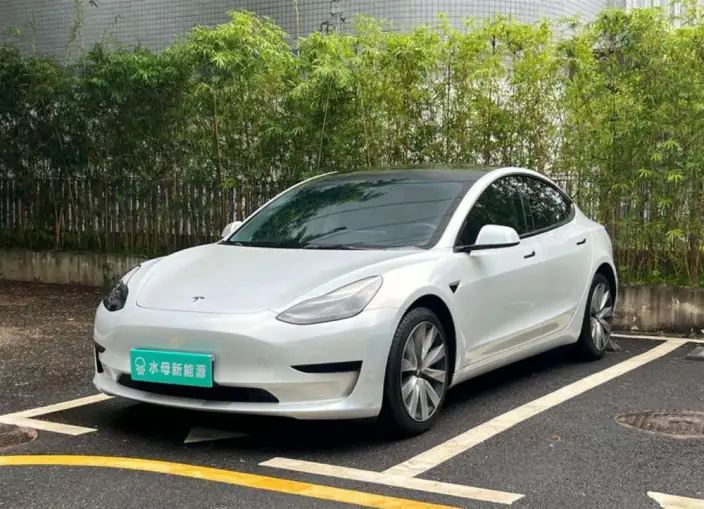 Model 3 2022 Model Rear-wheel drive version – фото 1