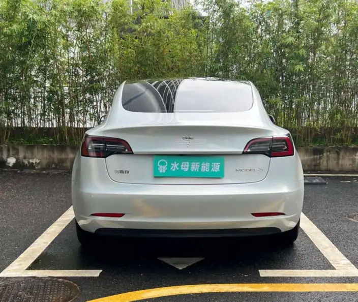 Model 3 2022 Model Rear-wheel drive version – фото 5