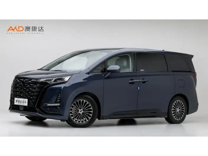 DENZA D9 DM 2022 Model 970 4WD Flagship Model – фото 1