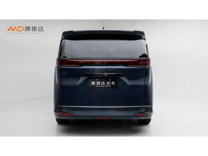 DENZA D9 DM 2022 Model 970 4WD Flagship Model – фото 3