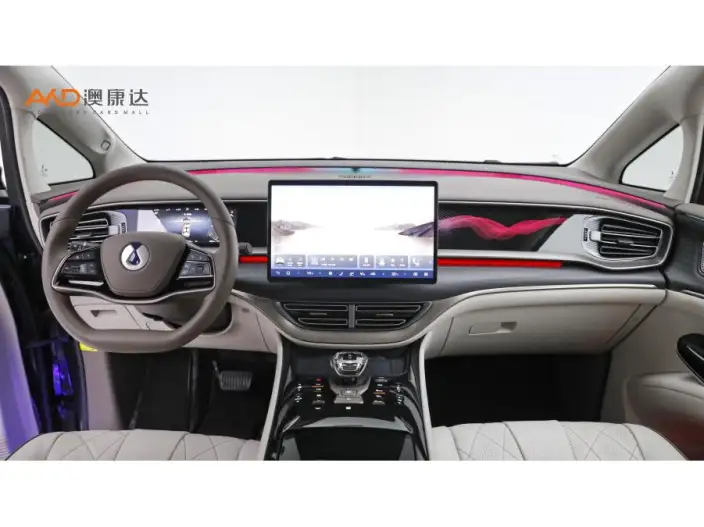 DENZA D9 DM 2022 Model 970 4WD Flagship Model – фото 6