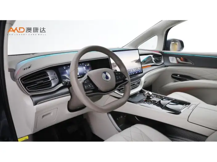 DENZA D9 DM 2022 Model 970 4WD Flagship Model – фото 7