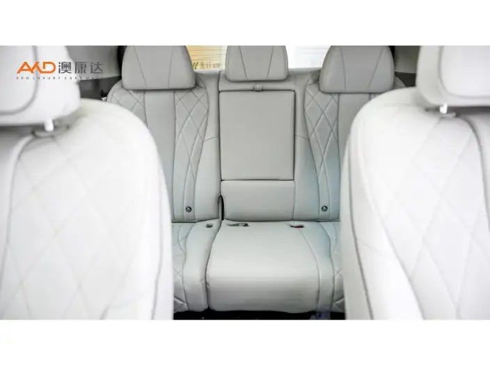 DENZA D9 DM 2022 Model 970 4WD Flagship Model – фото 9