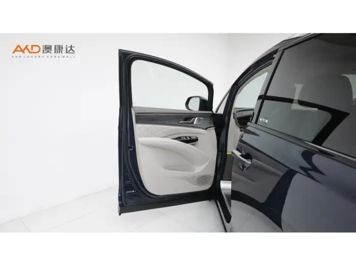 DENZA D9 DM 2022 Model 970 4WD Flagship Model – фото 10