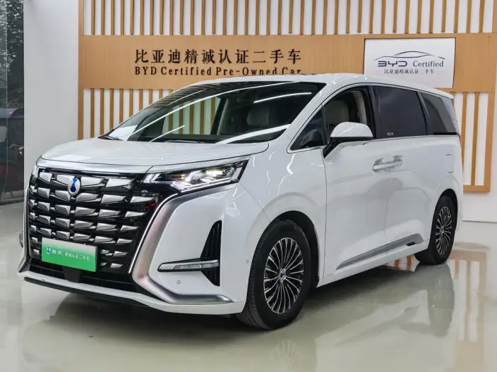 DENZA D9 DM 2022 Model 970 4WD Flagship Model – фото 1