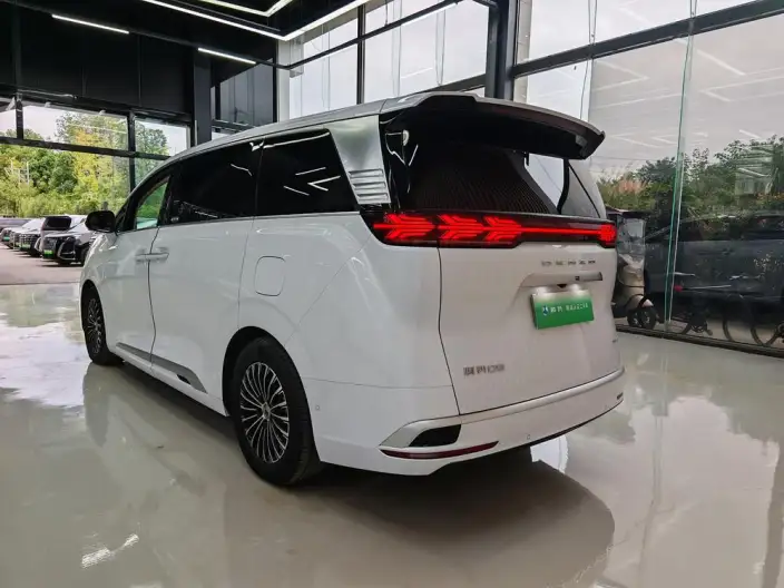 DENZA D9 DM 2022 Model 970 4WD Flagship Model – фото 4