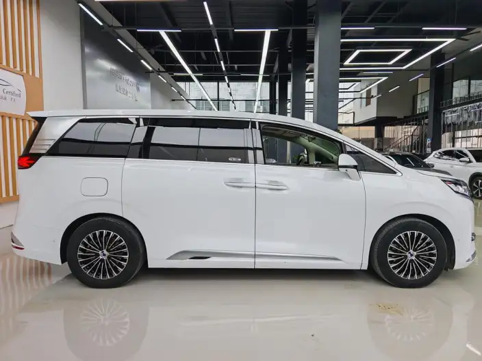 DENZA D9 DM 2022 Model 970 4WD Flagship Model – фото 7