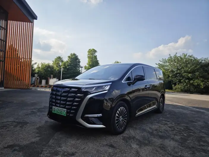 DENZA D9 DM 2024 Model 980 4WD Zunrong Model – фото 1