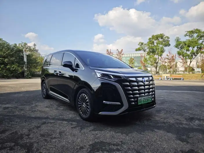 DENZA D9 DM 2024 Model 980 4WD Zunrong Model – фото 3