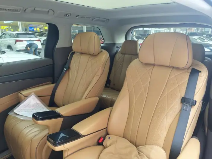 DENZA D9 DM 2022 Model 970 4WD Zunrong Model – фото 8