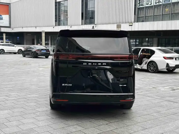 DENZA D9 DM 2024 Model 980 4WD Flagship Model – фото 6