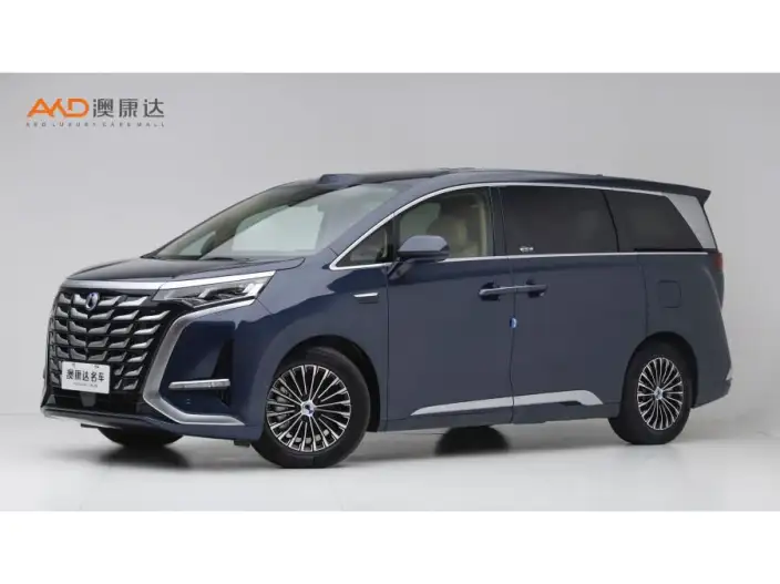 DENZA D9 DM 2025 Model Smart Driving Edition 1020 4WD Flagship Model – фото 1