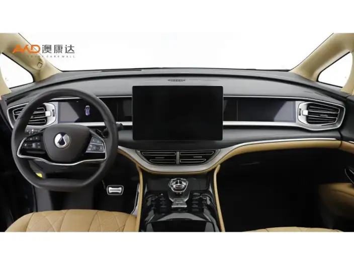 DENZA D9 DM 2025 Model Smart Driving Edition 1020 4WD Flagship Model – фото 6