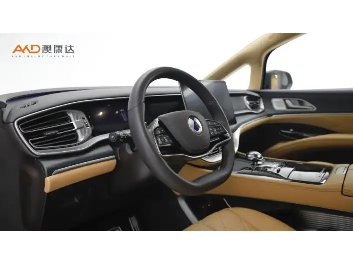DENZA D9 DM 2025 Model Smart Driving Edition 1020 4WD Flagship Model – фото 7