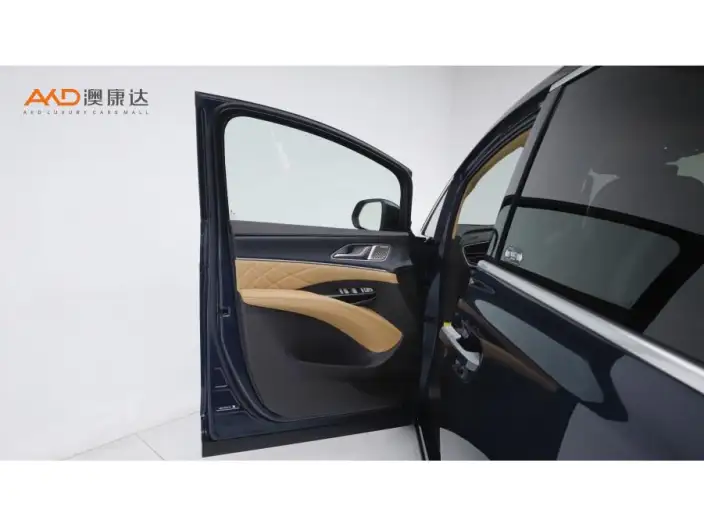DENZA D9 DM 2025 Model Smart Driving Edition 1020 4WD Flagship Model – фото 10
