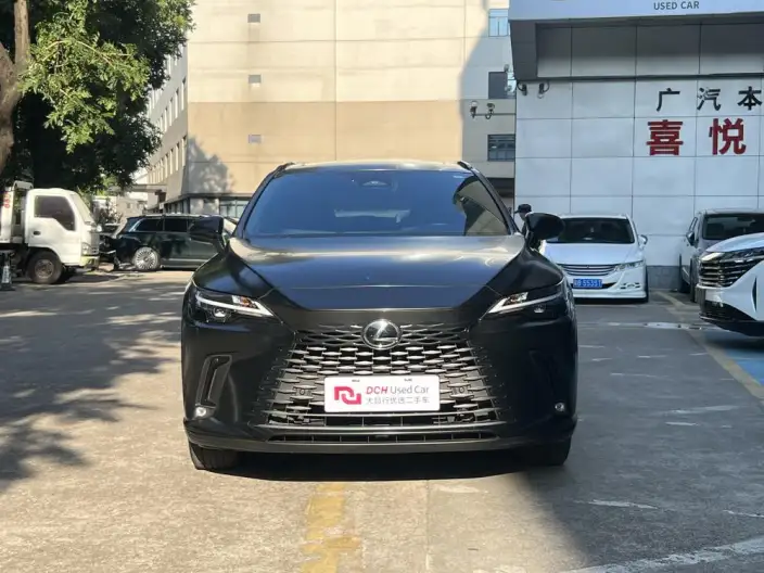 Lexus RX 2026 Model 300 4WD Black Edition – фото 2