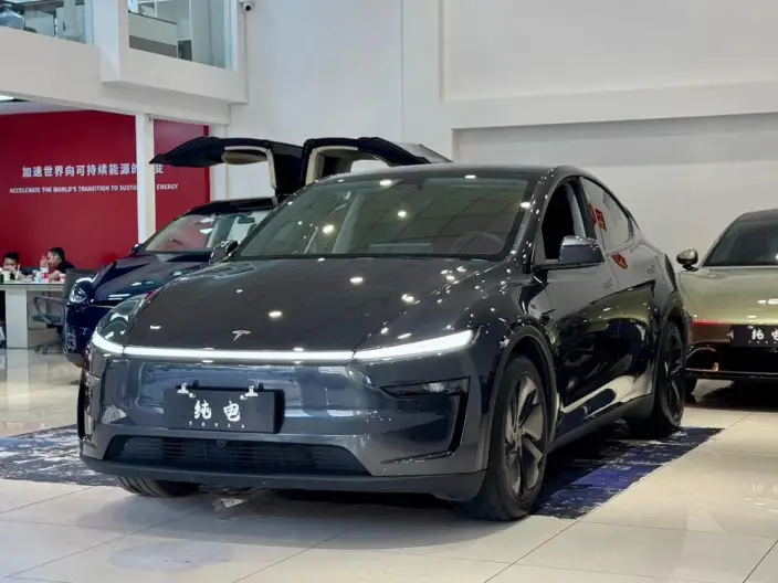 Model Y 2025 Model Rear-wheel drive version – фото 1