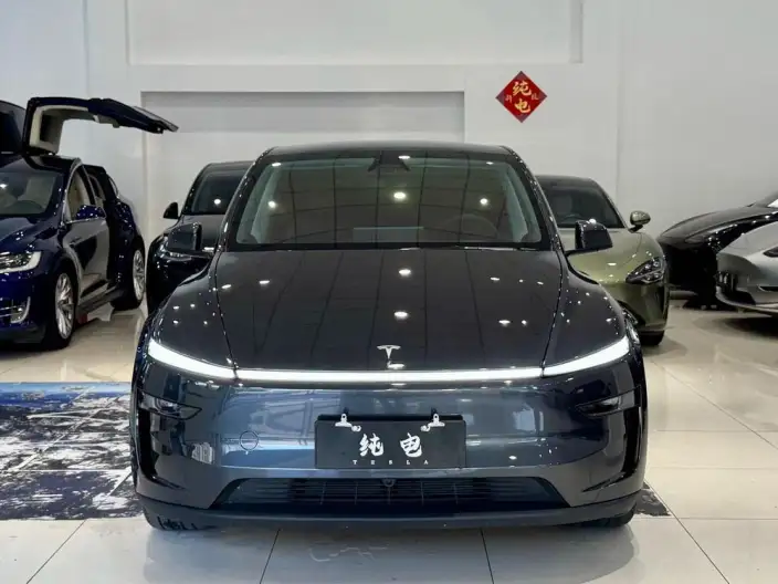 Model Y 2025 Model Rear-wheel drive version – фото 2