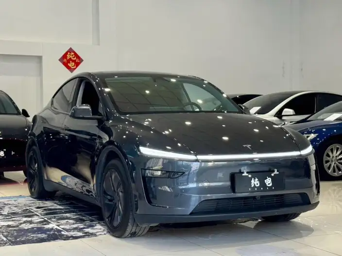 Model Y 2025 Model Rear-wheel drive version – фото 3