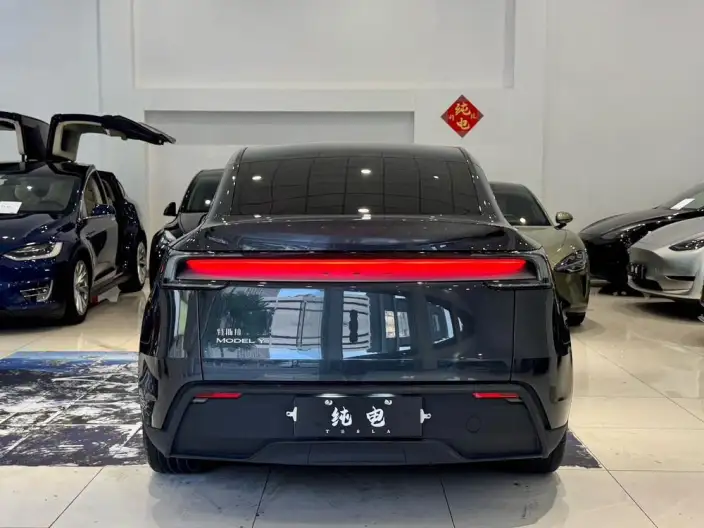 Model Y 2025 Model Rear-wheel drive version – фото 6