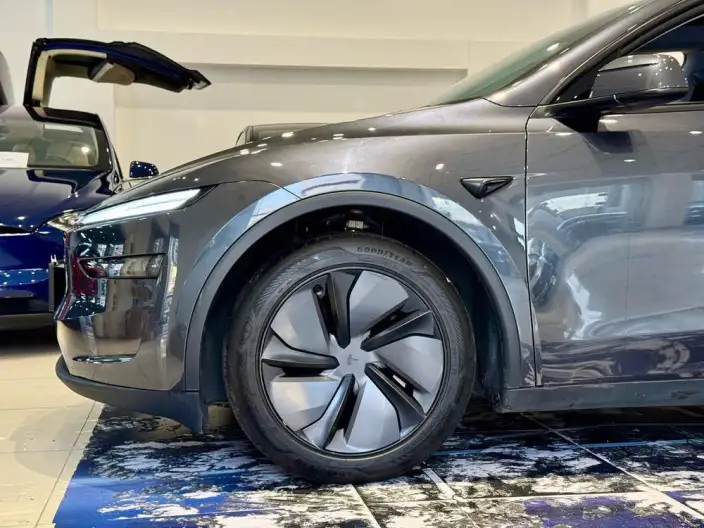 Model Y 2025 Model Rear-wheel drive version – фото 10