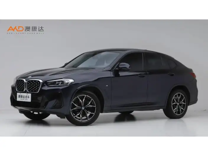 BMW X4 2022 Model xDrive 25i M Sports Set – фото 1