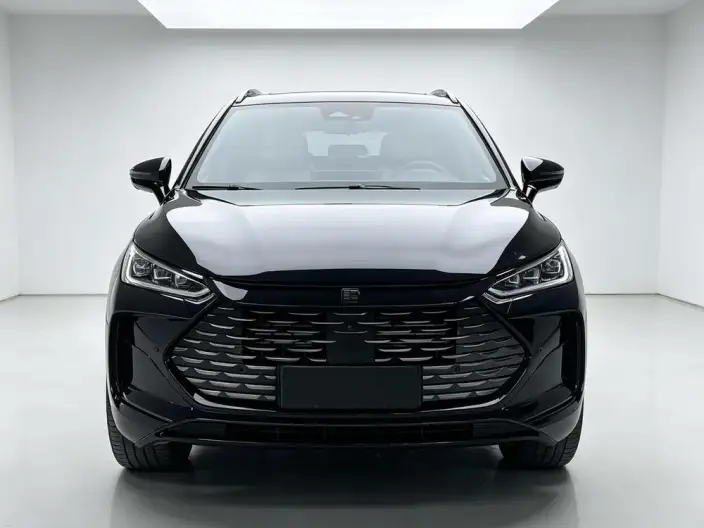 BYD Tang DM 2022 Model DM-p 215KM 4WD Flagship Model – фото 2