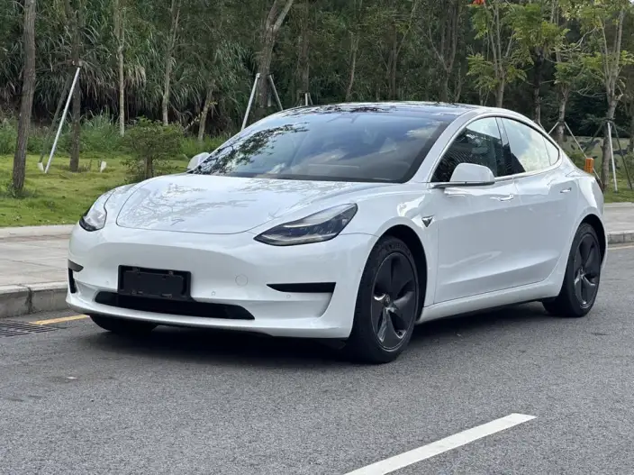 Model 3 2020 Model Standard Battery Life Rear Drive L Class Edition – фото 1