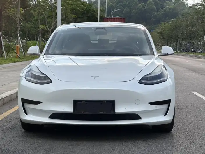 Model 3 2020 Model Standard Battery Life Rear Drive L Class Edition – фото 2