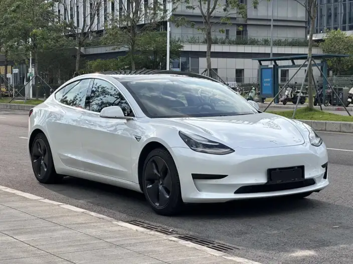 Model 3 2020 Model Standard Battery Life Rear Drive L Class Edition – фото 3