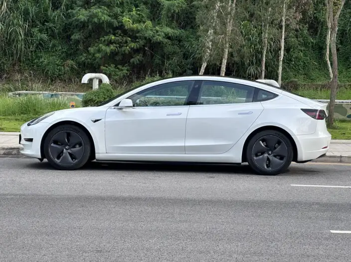 Model 3 2020 Model Standard Battery Life Rear Drive L Class Edition – фото 4