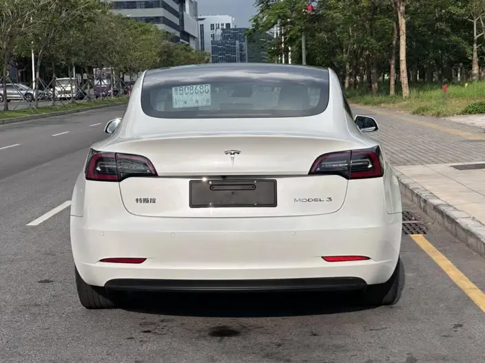 Model 3 2020 Model Standard Battery Life Rear Drive L Class Edition – фото 5