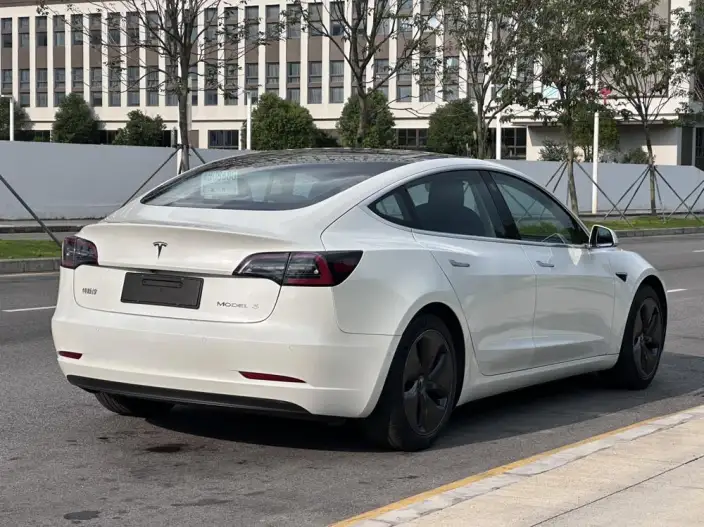 Model 3 2020 Model Standard Battery Life Rear Drive L Class Edition – фото 6