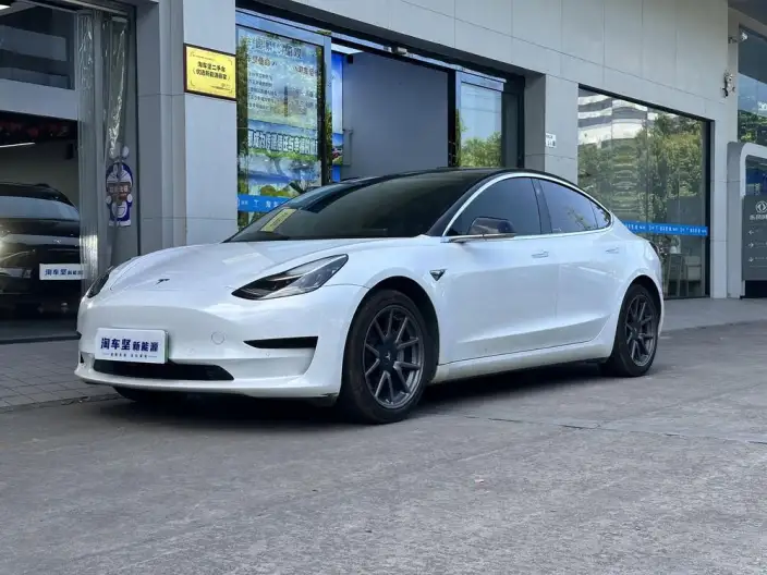 Model 3 2020 Model Standard Battery Life Rear Drive L Class Edition – фото 1