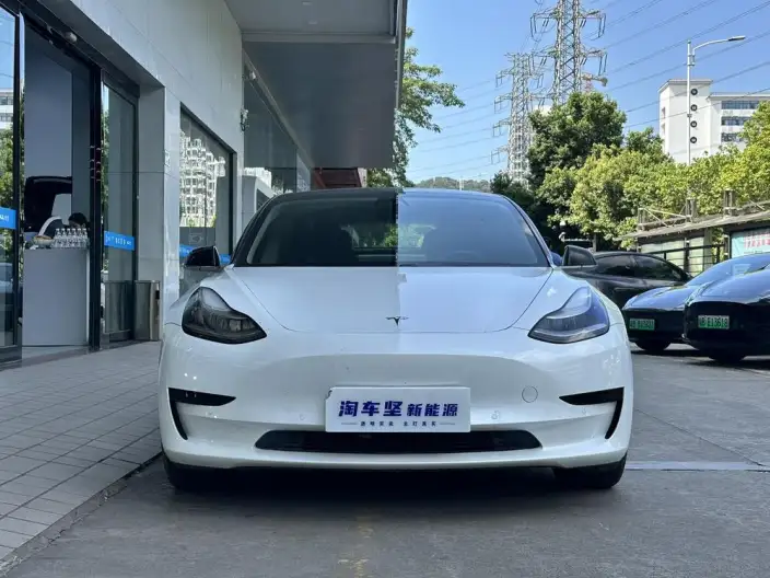 Model 3 2020 Model Standard Battery Life Rear Drive L Class Edition – фото 2