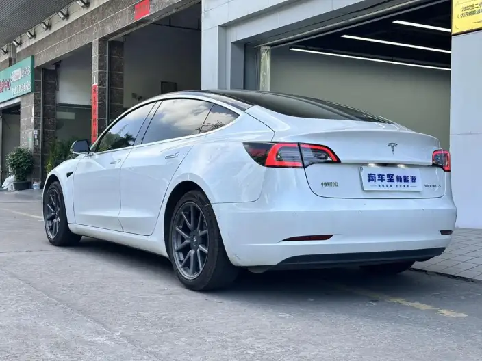 Model 3 2020 Model Standard Battery Life Rear Drive L Class Edition – фото 4