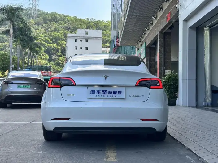 Model 3 2020 Model Standard Battery Life Rear Drive L Class Edition – фото 5