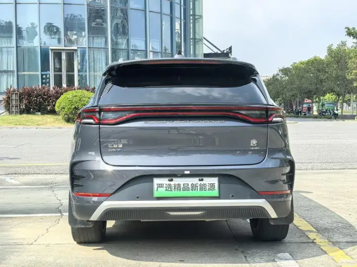 BYD Tang DM 2022 Model DM-p 215KM 4WD Flagship Model – фото 6