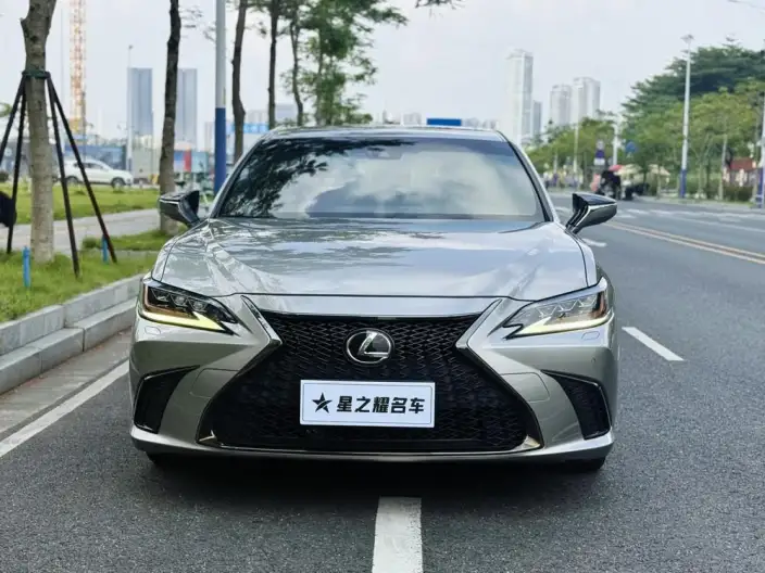 Lexus ES 2020 Model 260 F SPORT China V – фото 2
