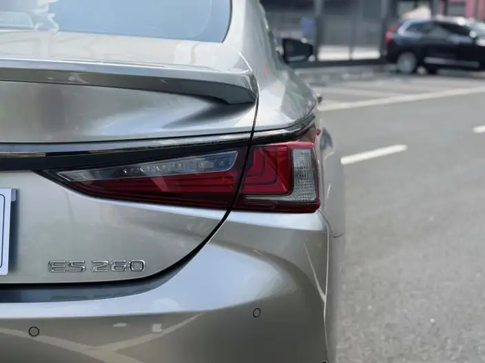 Lexus ES 2020 Model 260 F SPORT China V – фото 9