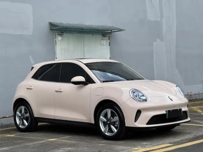 ORA Good Cat 2025 Model 430km Luxury Model – фото 3