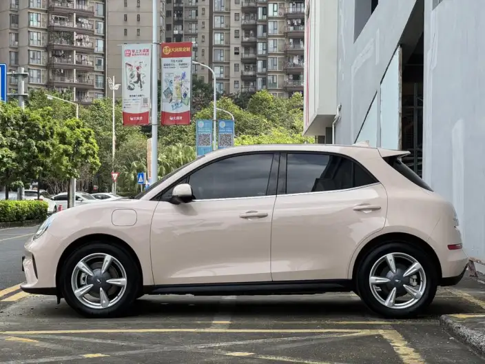 ORA Good Cat 2025 Model 430km Luxury Model – фото 4