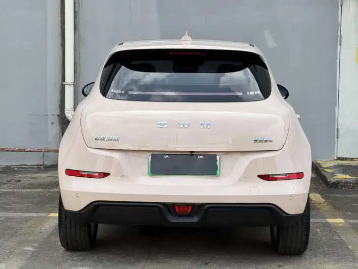 ORA Good Cat 2025 Model 430km Luxury Model – фото 6